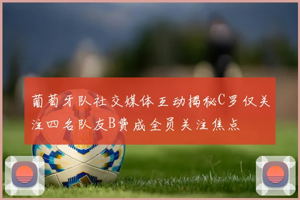 葡萄牙队社交媒体互动揭秘C罗仅关注四名队友B费成全员关注焦点